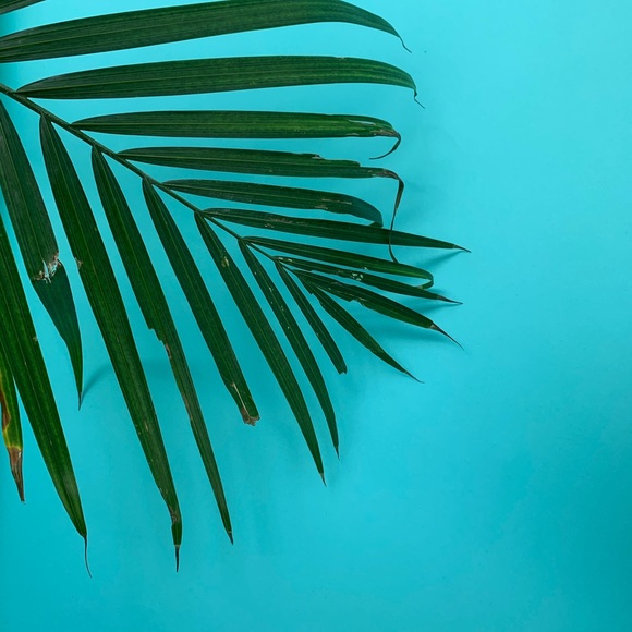 Meet your Posher, Laura - Picture 1 of 1